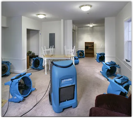 Mold Remediation & Removal in Elmsford, NY