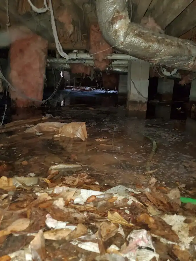 Crawl space flood assessment for Commercial Water Damage Restoration in Elmsford